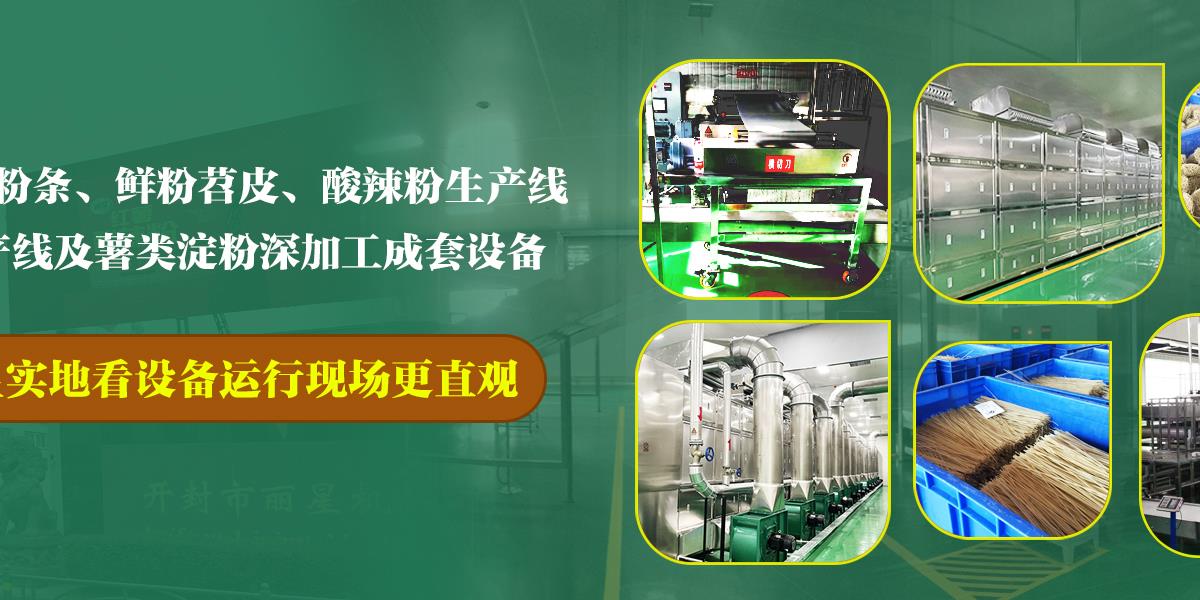 紅薯粉條機,土豆粉條機,紅薯粉條加工設(shè)備